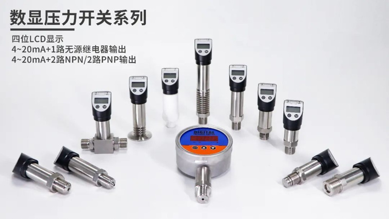 1733300698563 1733300698563